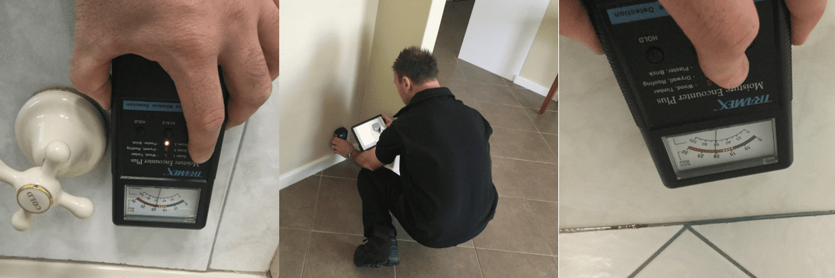 building and pest inspection