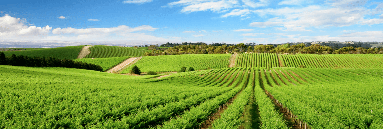 Barossa Valley