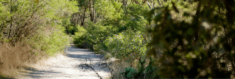 wilfred taylor reserve